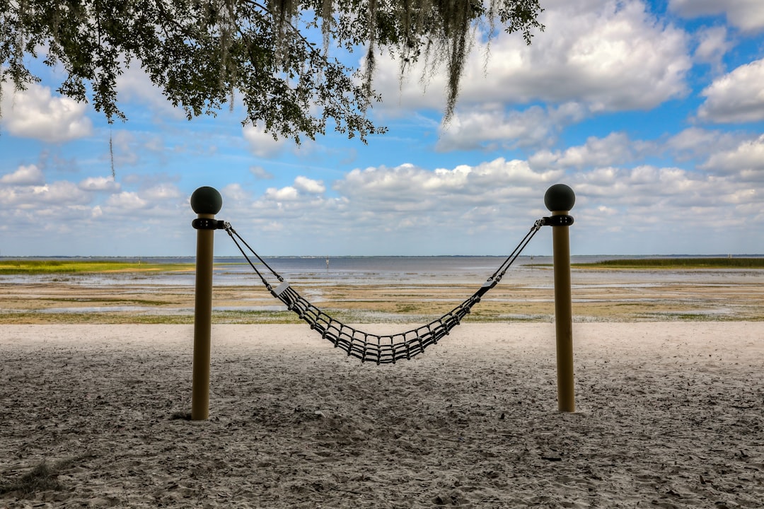 brown wooden fence near body of water during daytime