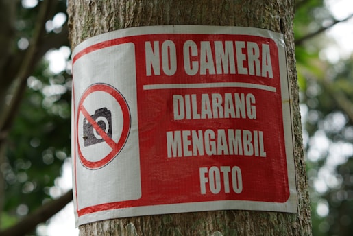 A sign is attached to a tree, displaying a notice in bold white lettering on a red background that prohibits taking photos. The sign features an icon of a camera with a strikethrough indicating no photography allowed.