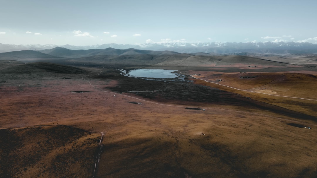 brown field near body of water during daytime