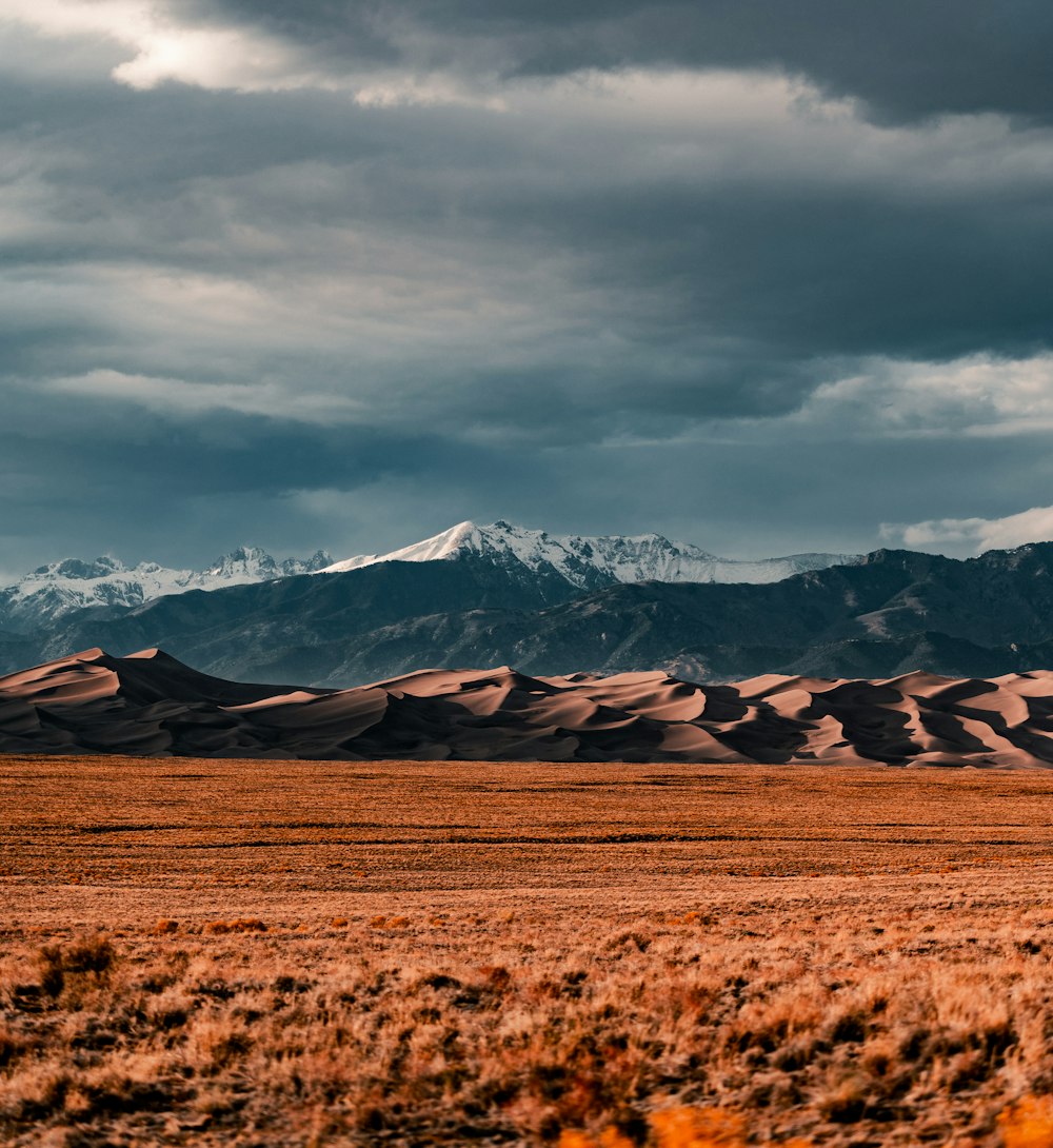 昼間の曇り空の下、雪に覆われた山々の近くの茶色い野原