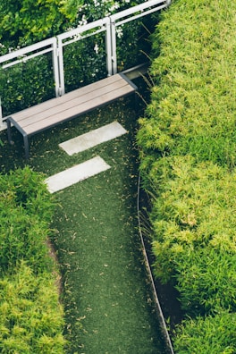 Photo of the garden area showing the original stone path and new plantings.
