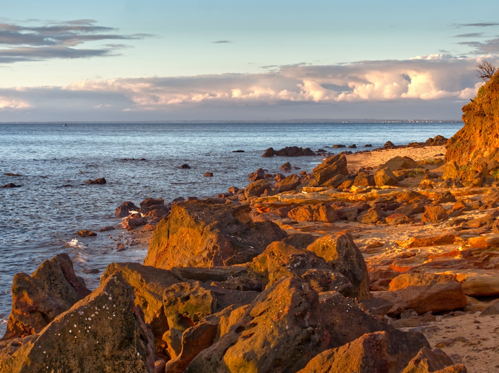 brown rock formation near sea during daytime