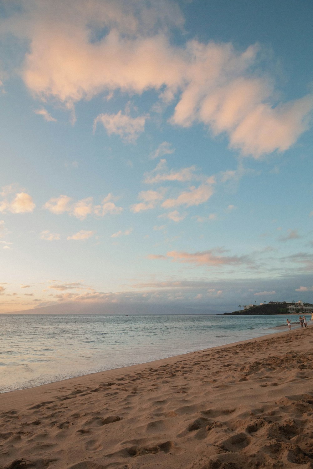 people on beach during daytime