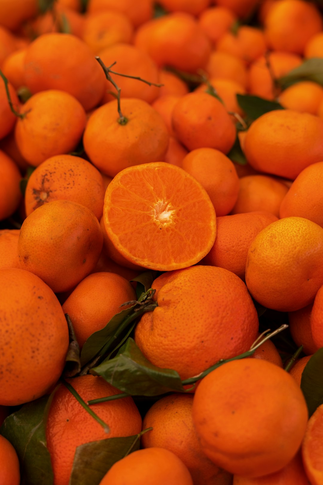 orange fruits in macro lens