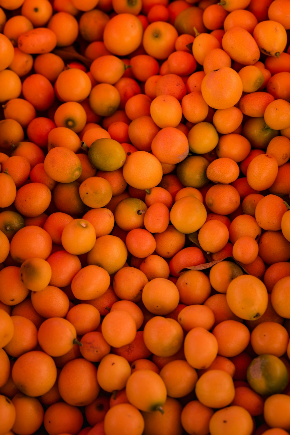 Frutas redondas de color naranja en plato de cerámica blanca