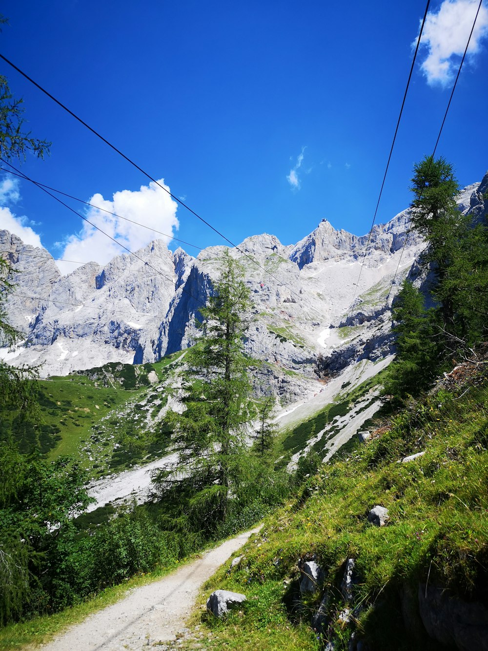 Grünes Grasfeld in der Nähe schneebedeckter Berge unter blauem Himmel tagsüber