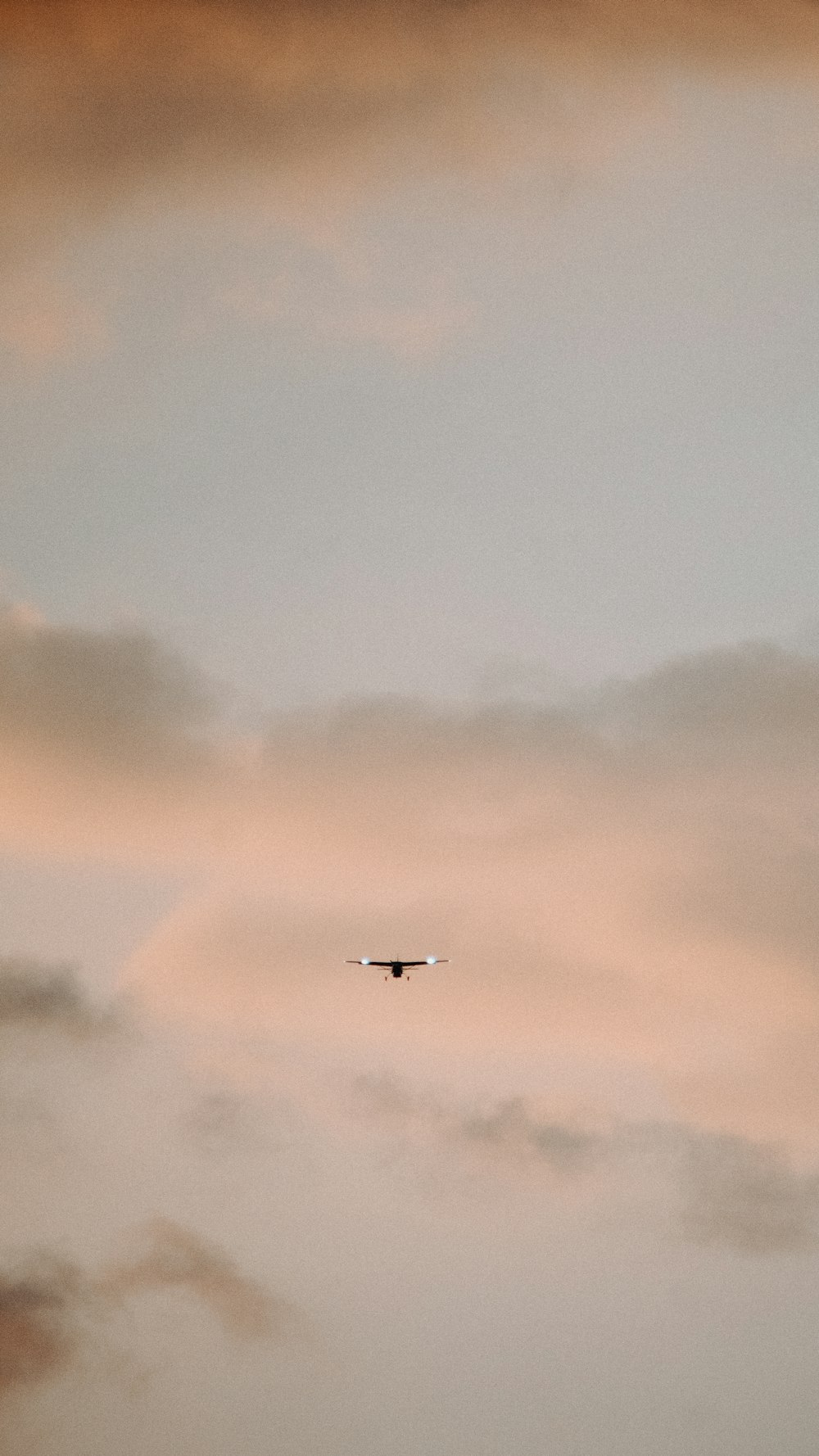 airplane flying in the sky