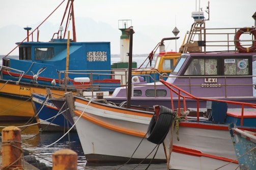 Multiple colorful fishing boats are docked at a waterfront with various names and numbers visible on their sides. Seagulls perch on some of the boats, and the dock is lined with weathered posts and ropes. The scene is calm and serene, with overcast skies in the background.