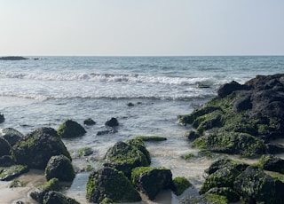 black rocks on sea shore during daytime