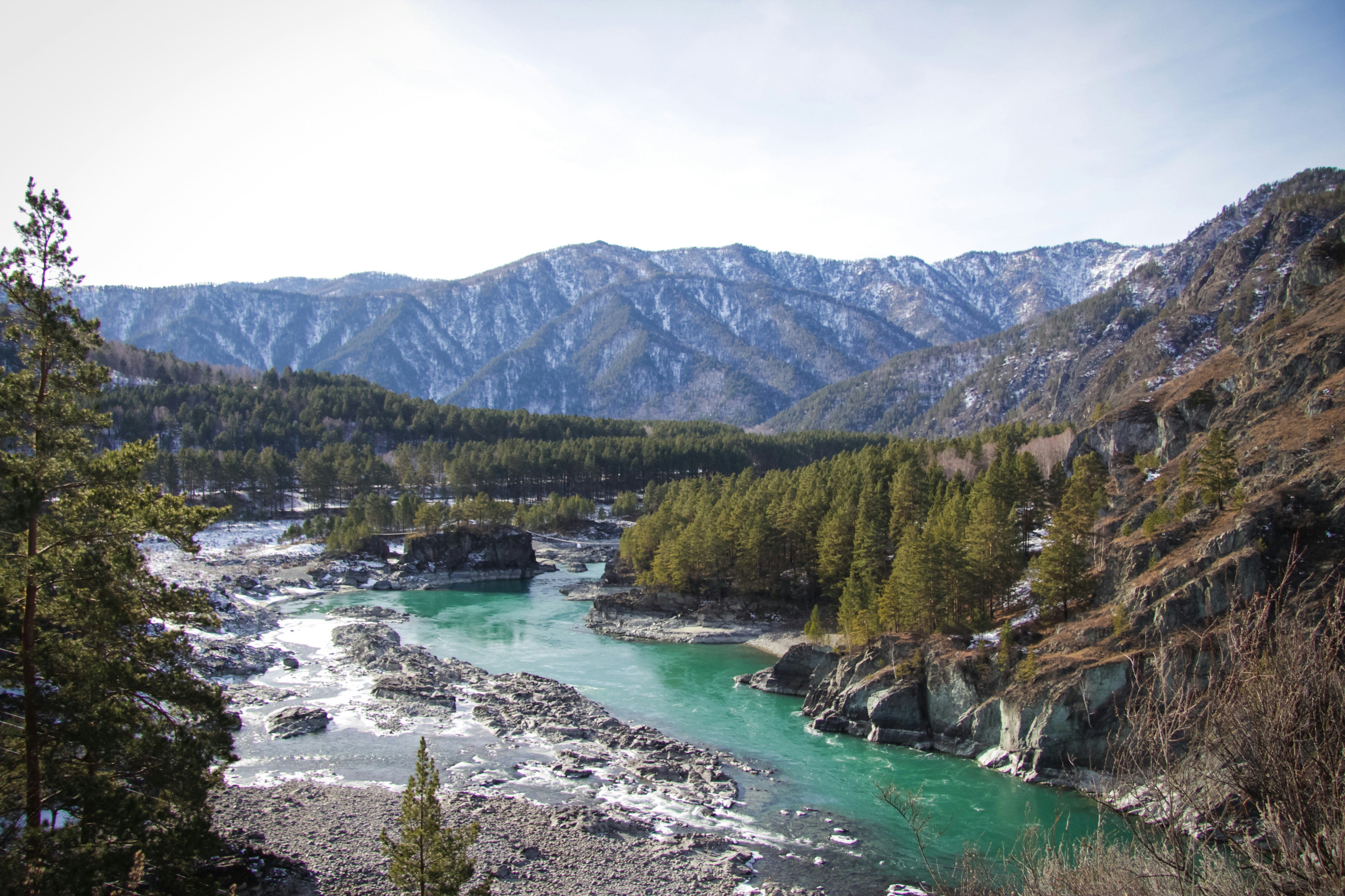 Зелёные деревья у озера и горы в дневное время