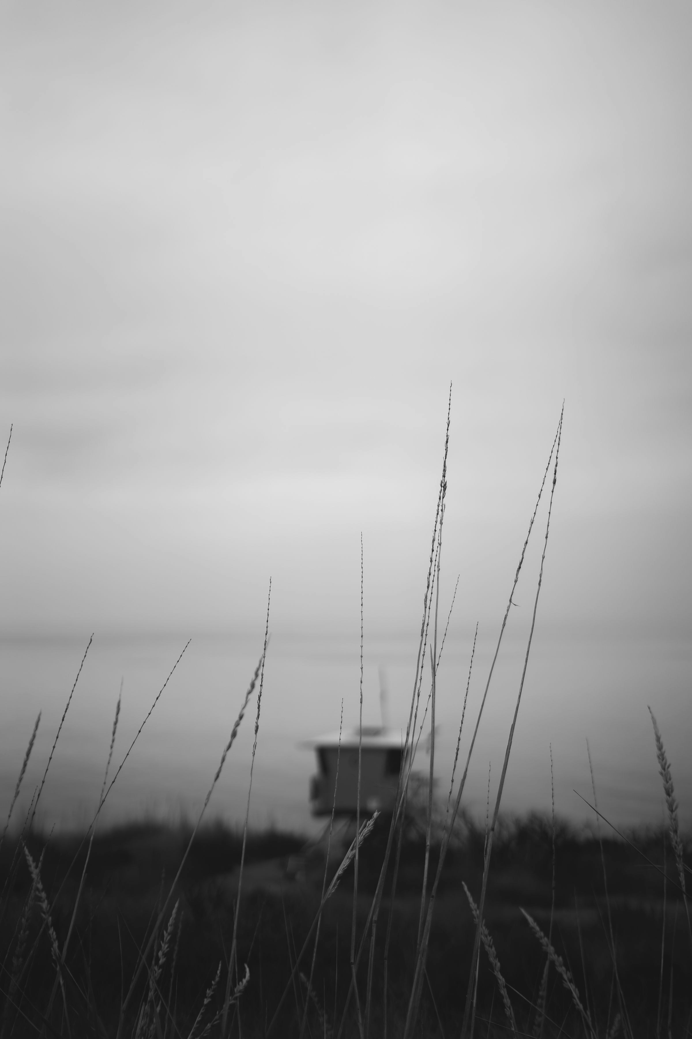 Photo by felipe_callado