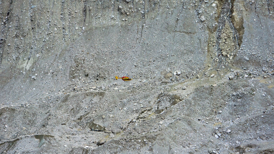 brown leaf on body of water during daytime