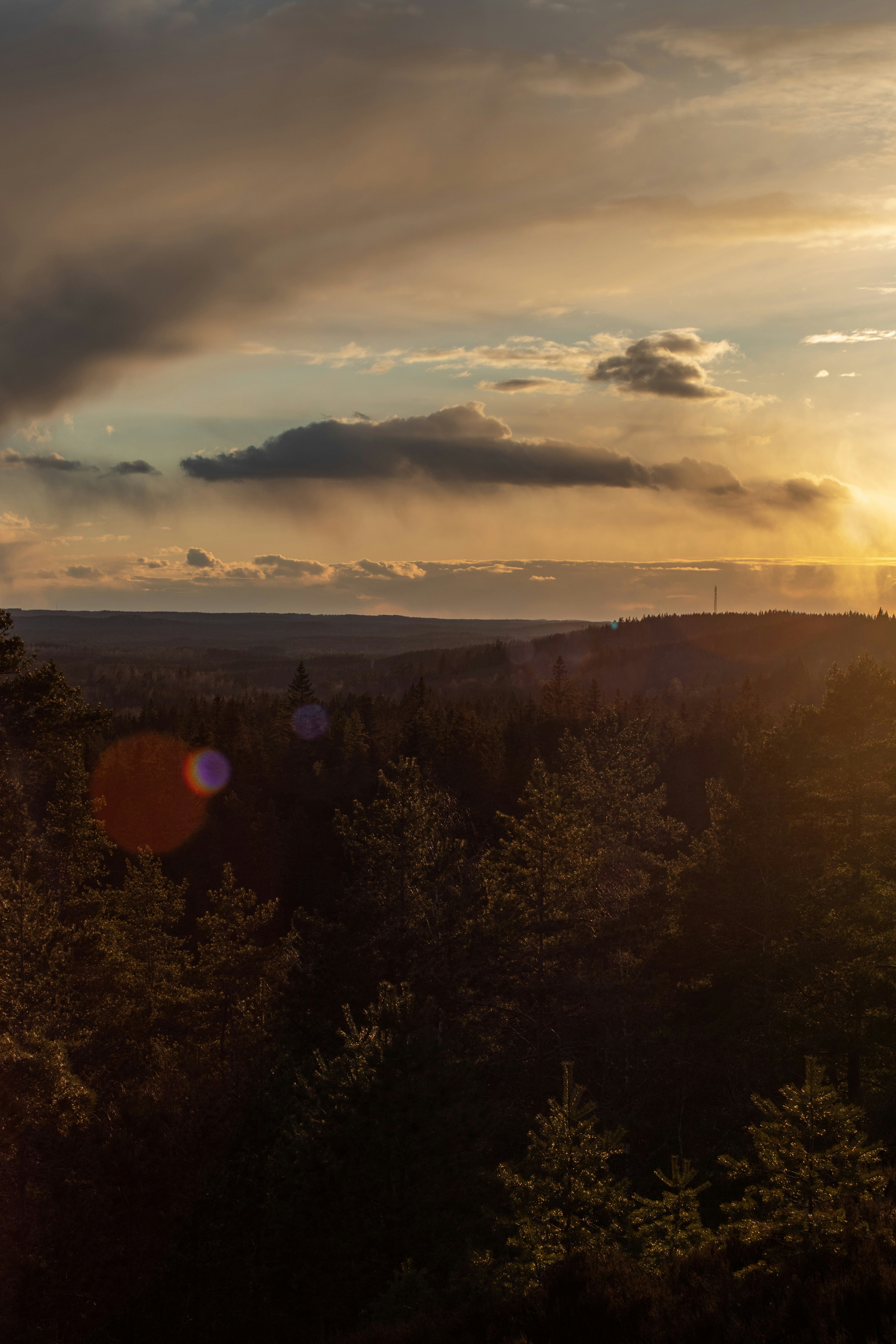 Photo by magnusostberg