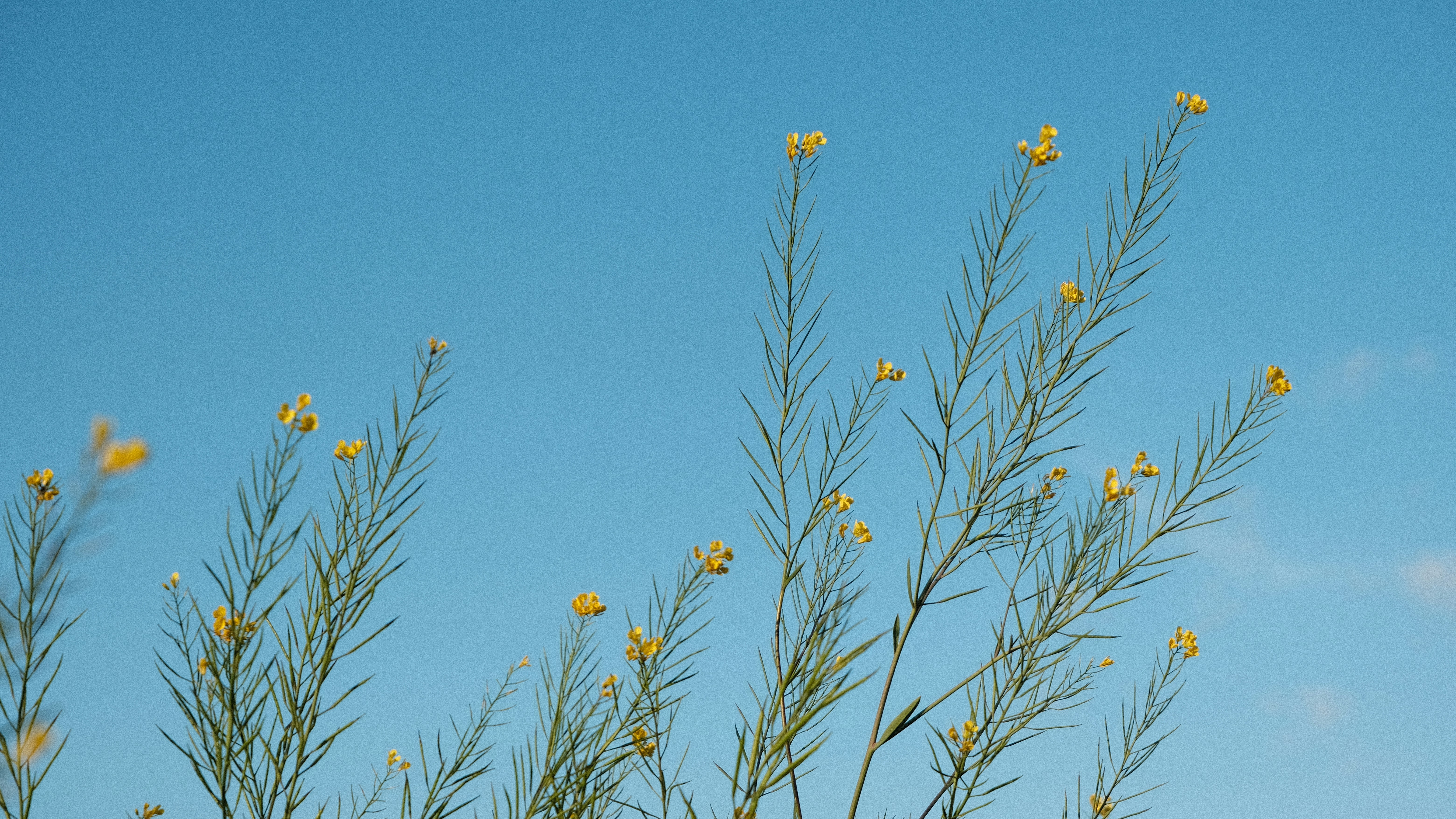 Photo by eragonknight89