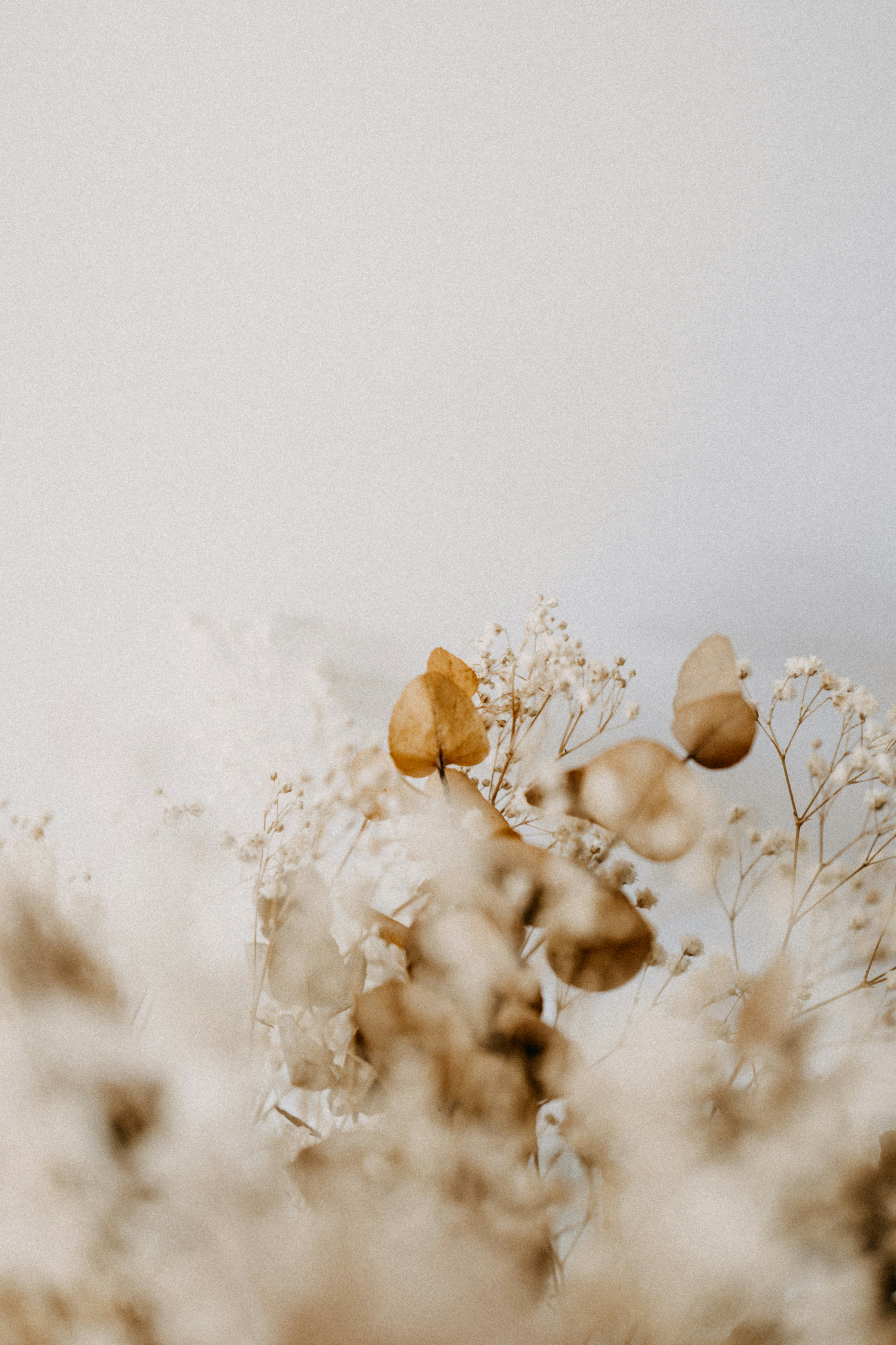 Photo by anniespratt