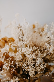 A close-up view of a dried floral arrangement featuring clusters of small white flowers, interspersed with golden-brown leaves and stems. The soft, muted tones create a gentle and delicate appearance.
