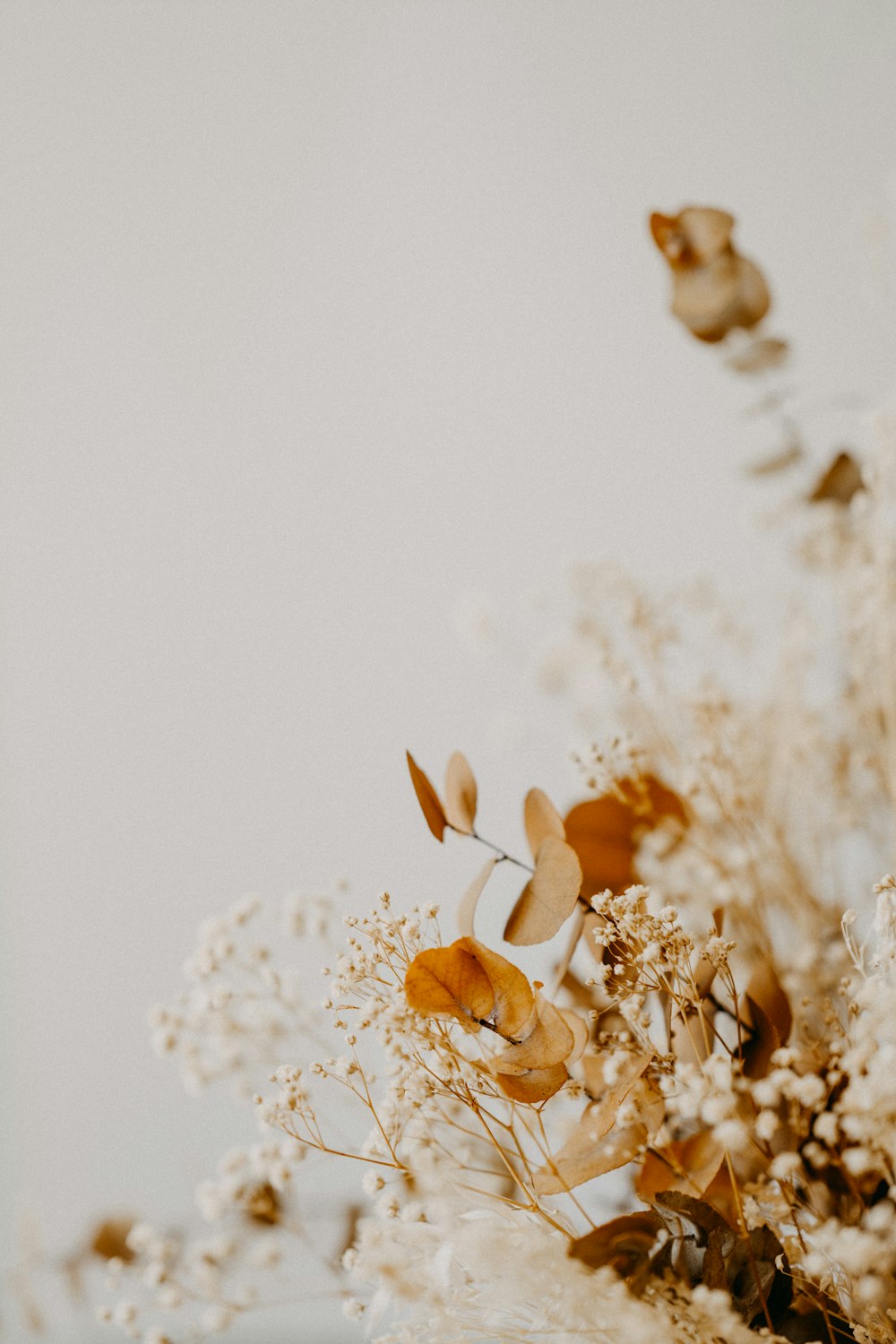 white flowers in tilt shift lens