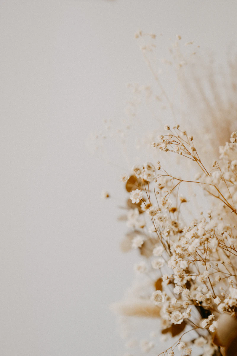 Soft dried flowers in gentle light