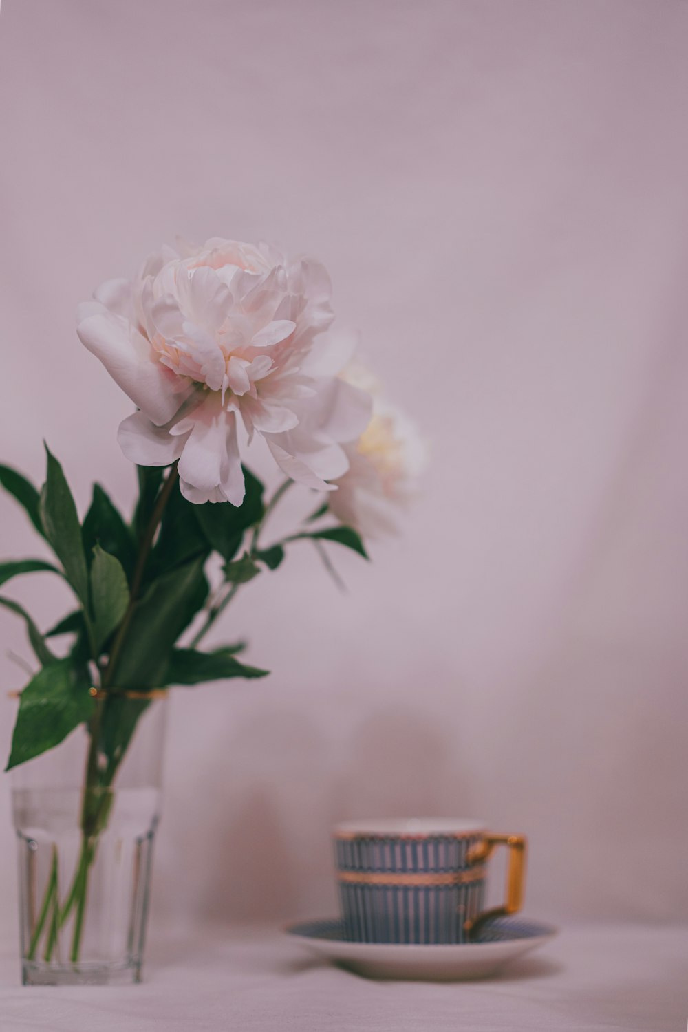 white flower on glass vase