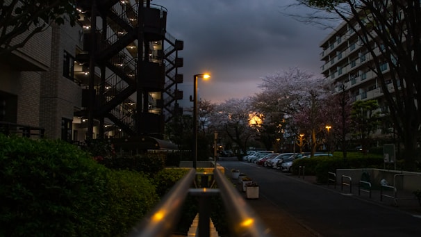 Street view of Cherry Street apartments with tree-lined sidewalks and warm evening light.