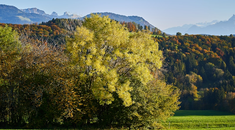 Bad-Schwarzsee