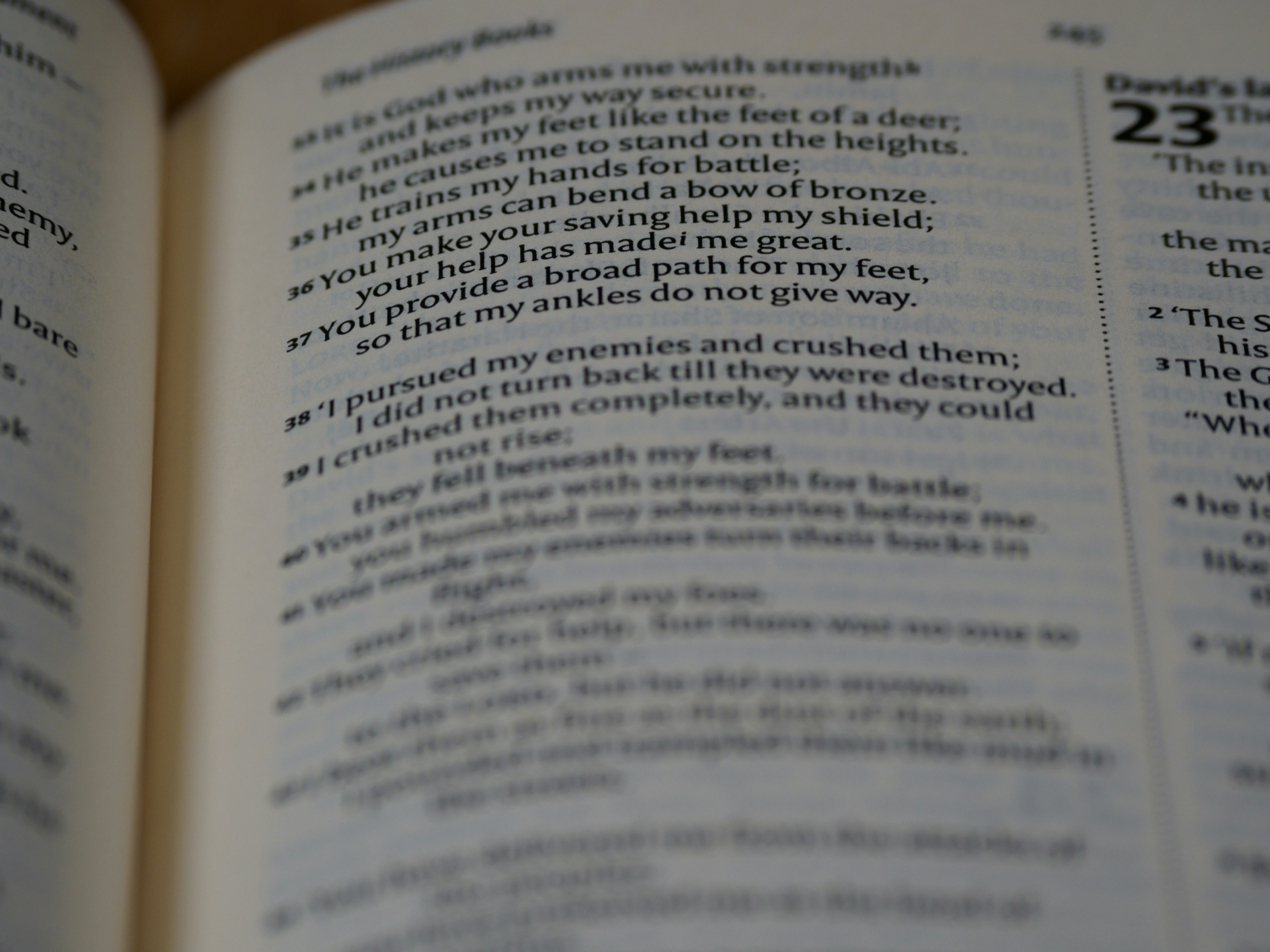 Photo by brett_jordan