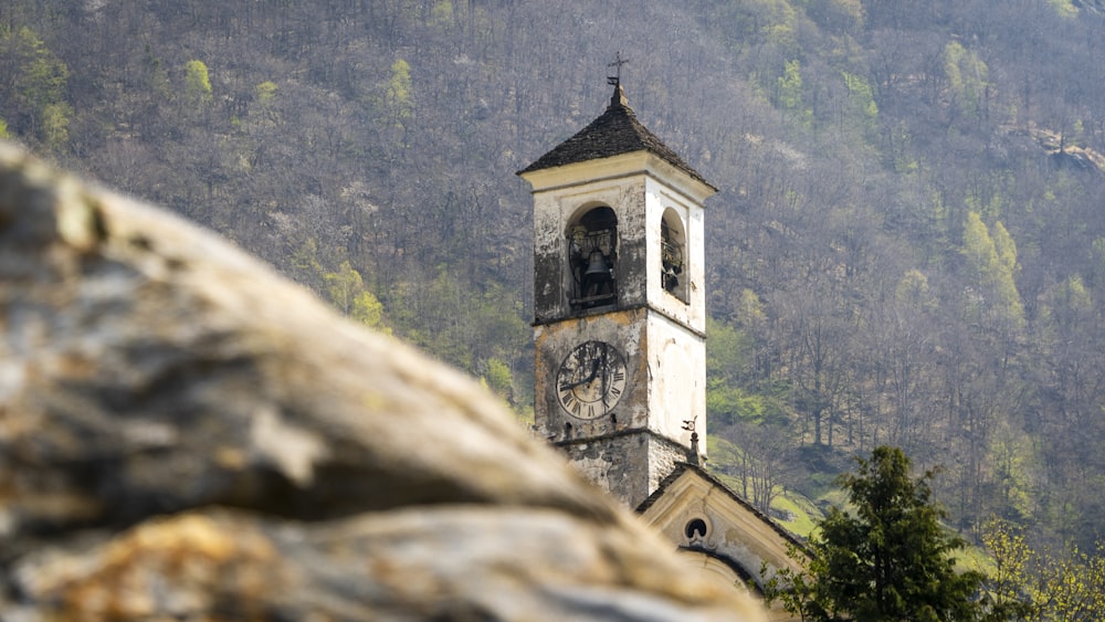 brown and gray concrete church