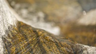 Close-up of water gently flowing through porous rock layers in a reservoir.
