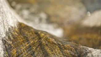 Close-up of water gently flowing through porous rock layers in a reservoir.