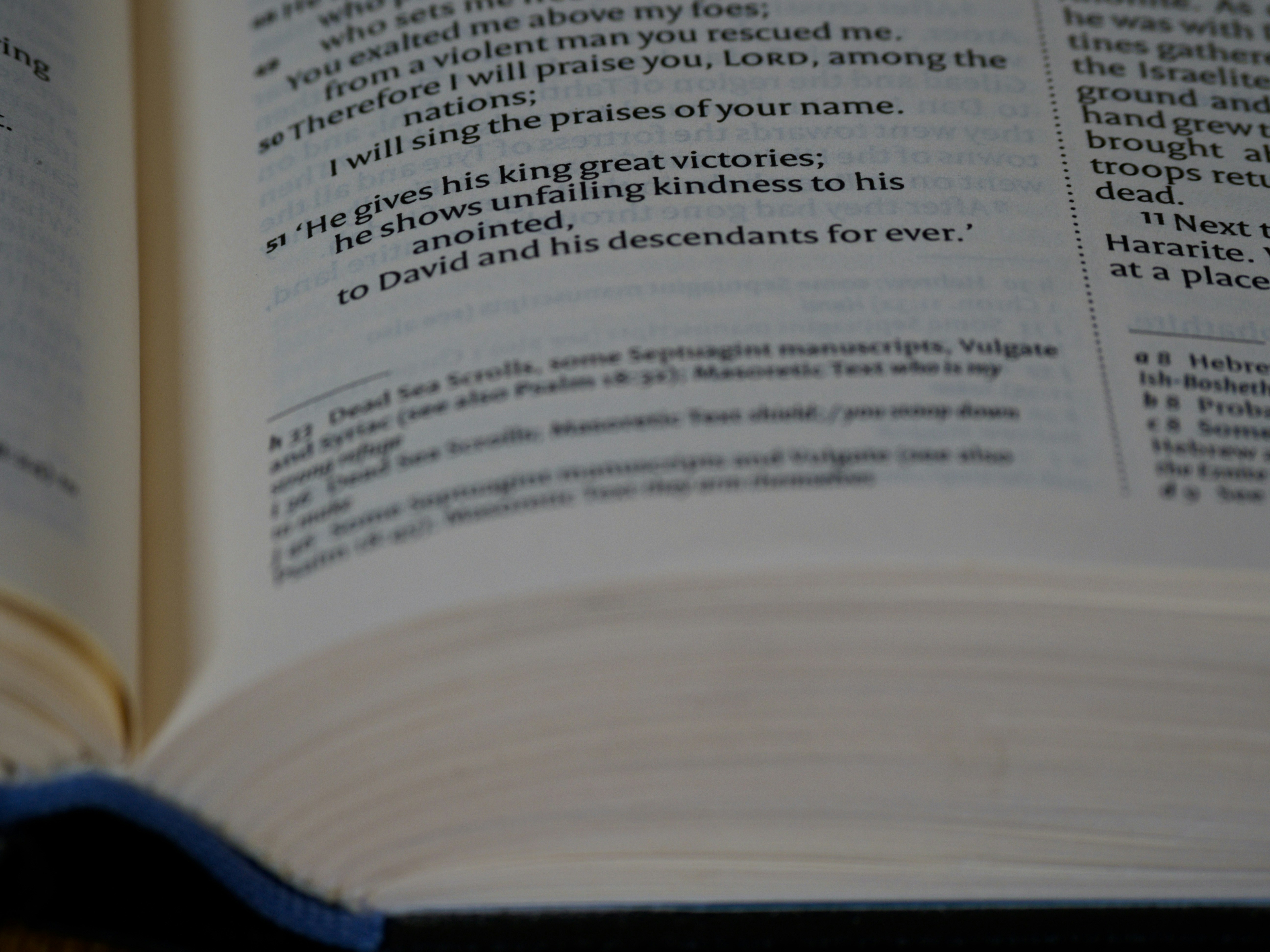 Photo by brett_jordan