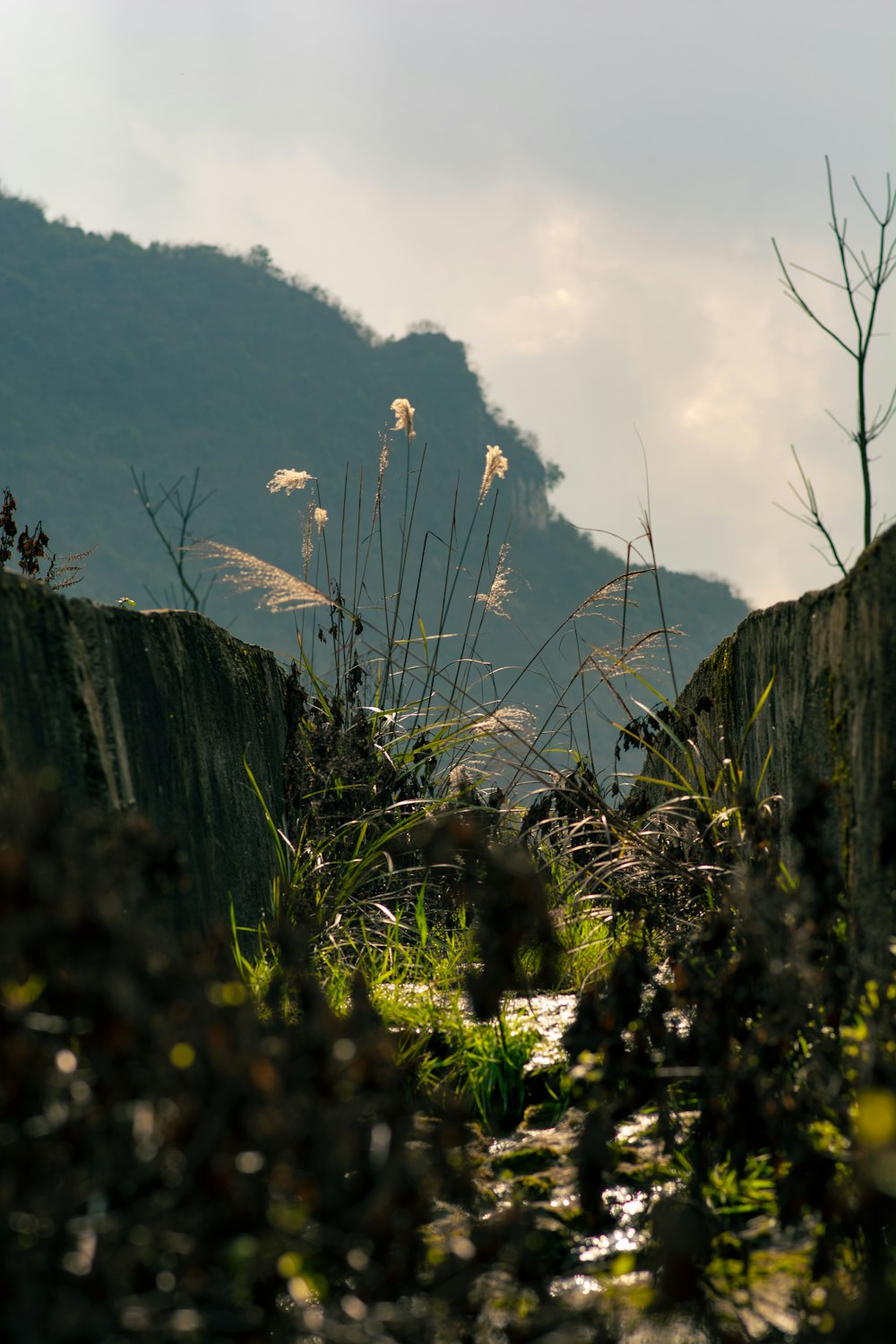 green grass field near mountain during daytime