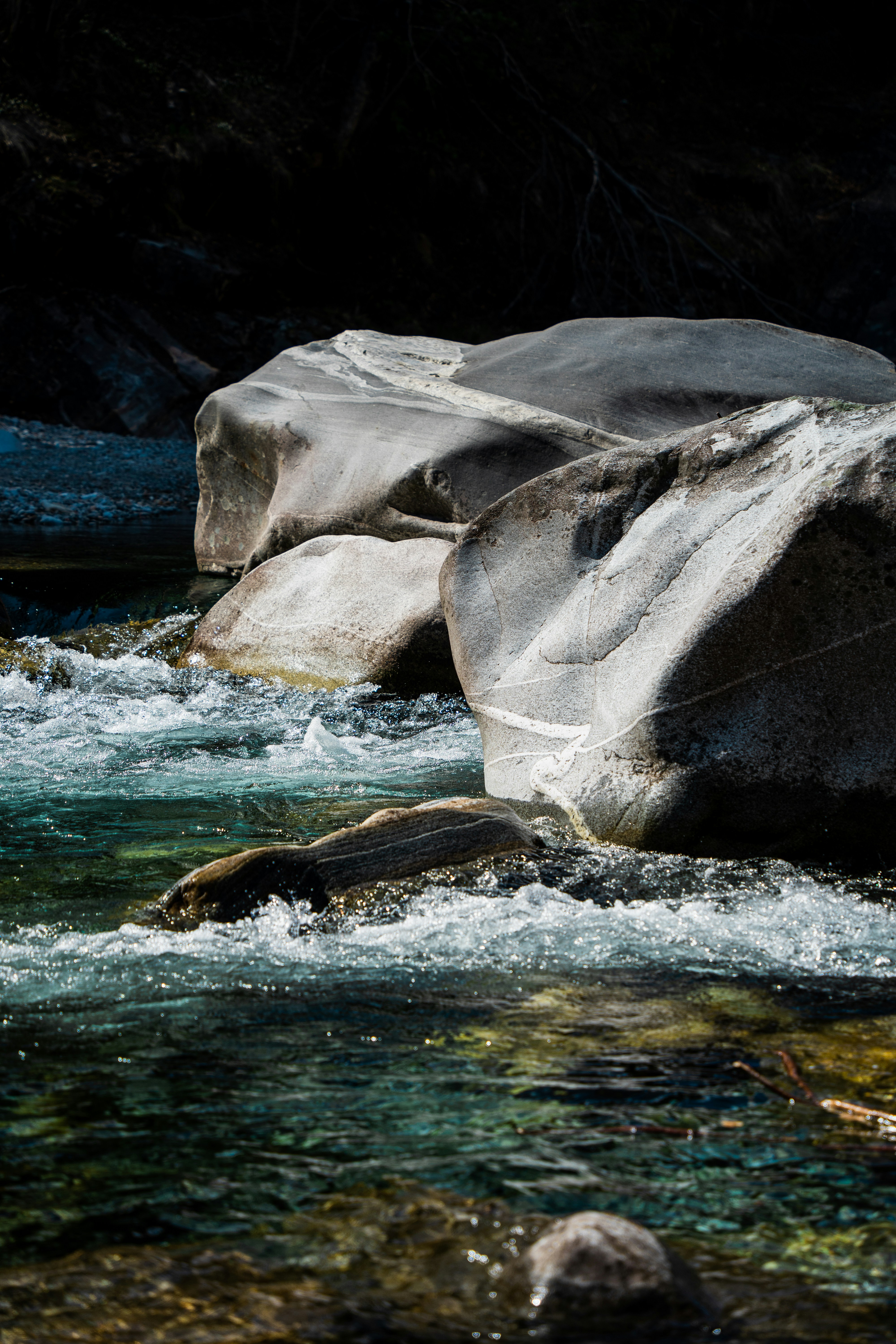 Photo by damienschnorhk