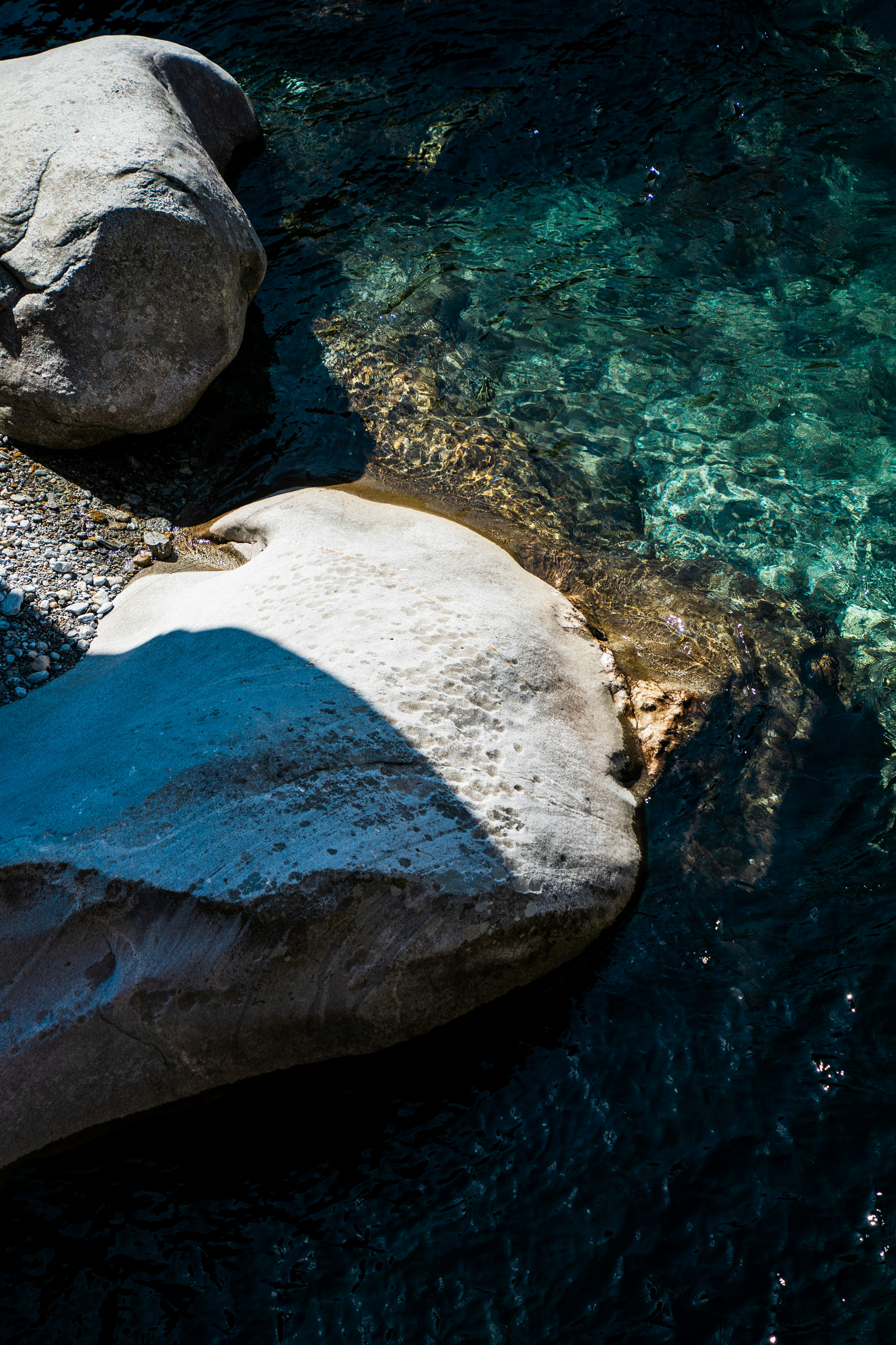 Photo by damienschnorhk
