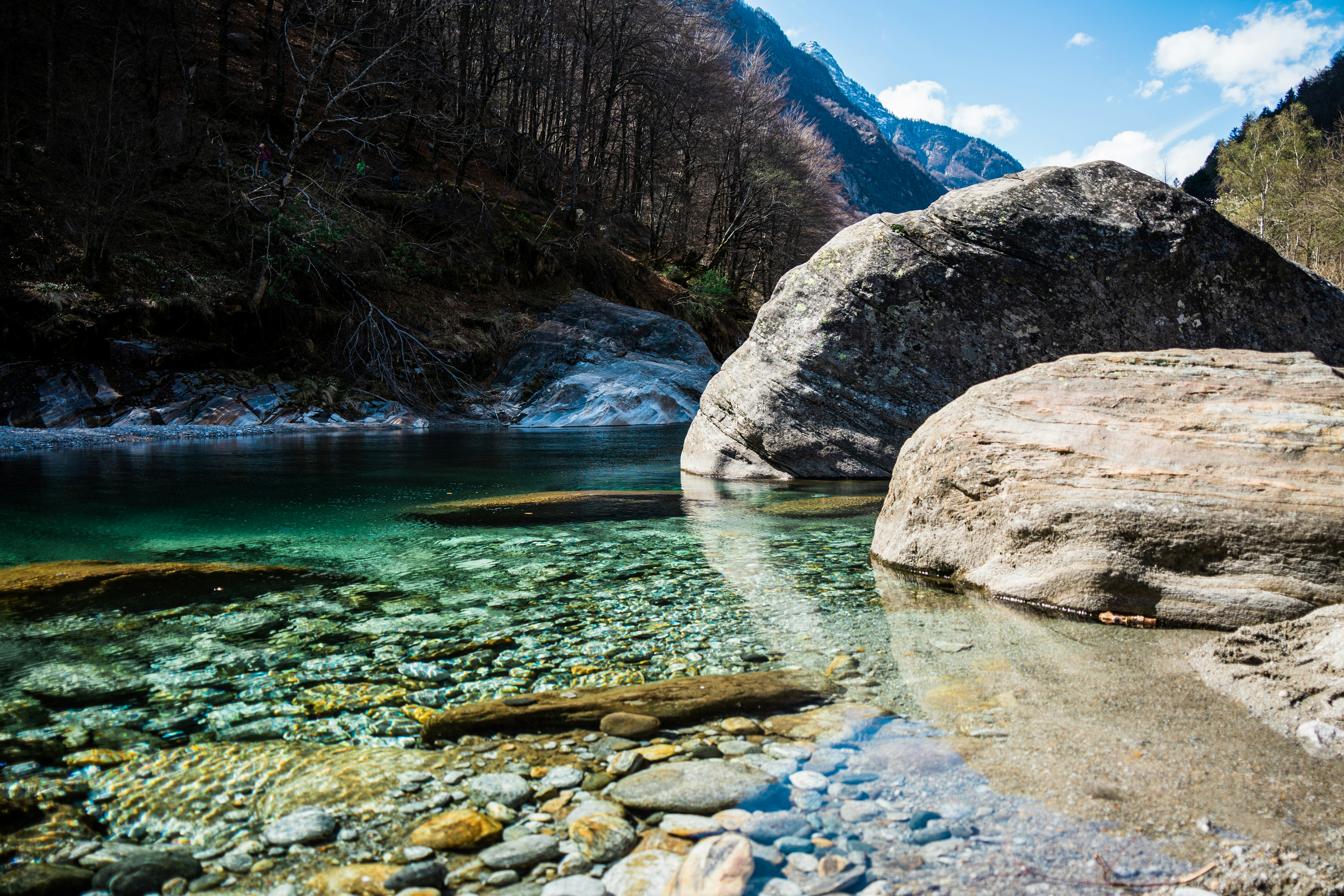 Photo by damienschnorhk
