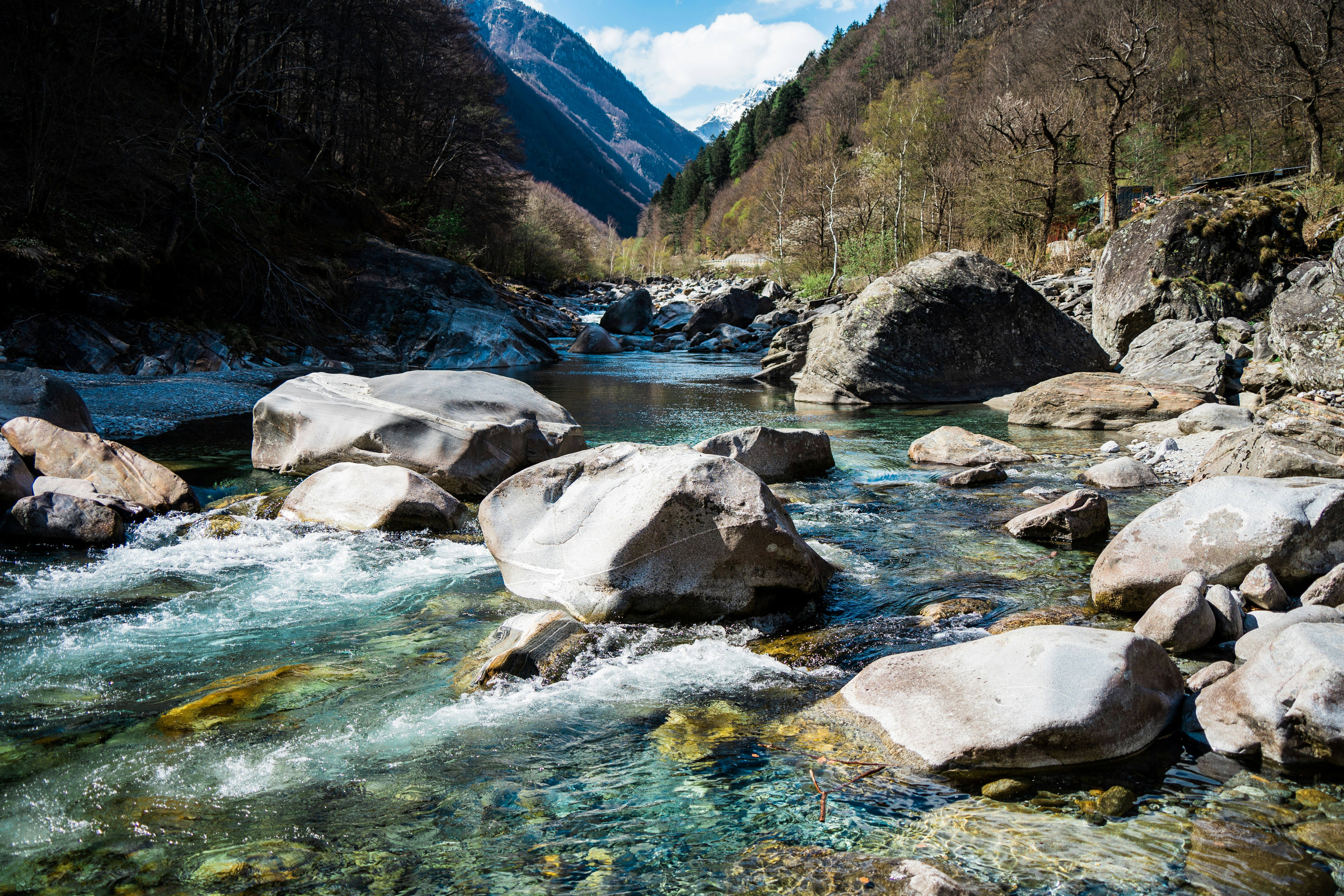 Photo by damienschnorhk