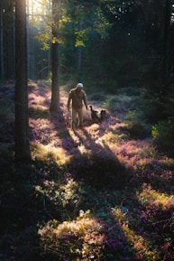 man in white shirt and black pants walking on forest with dogs during daytime