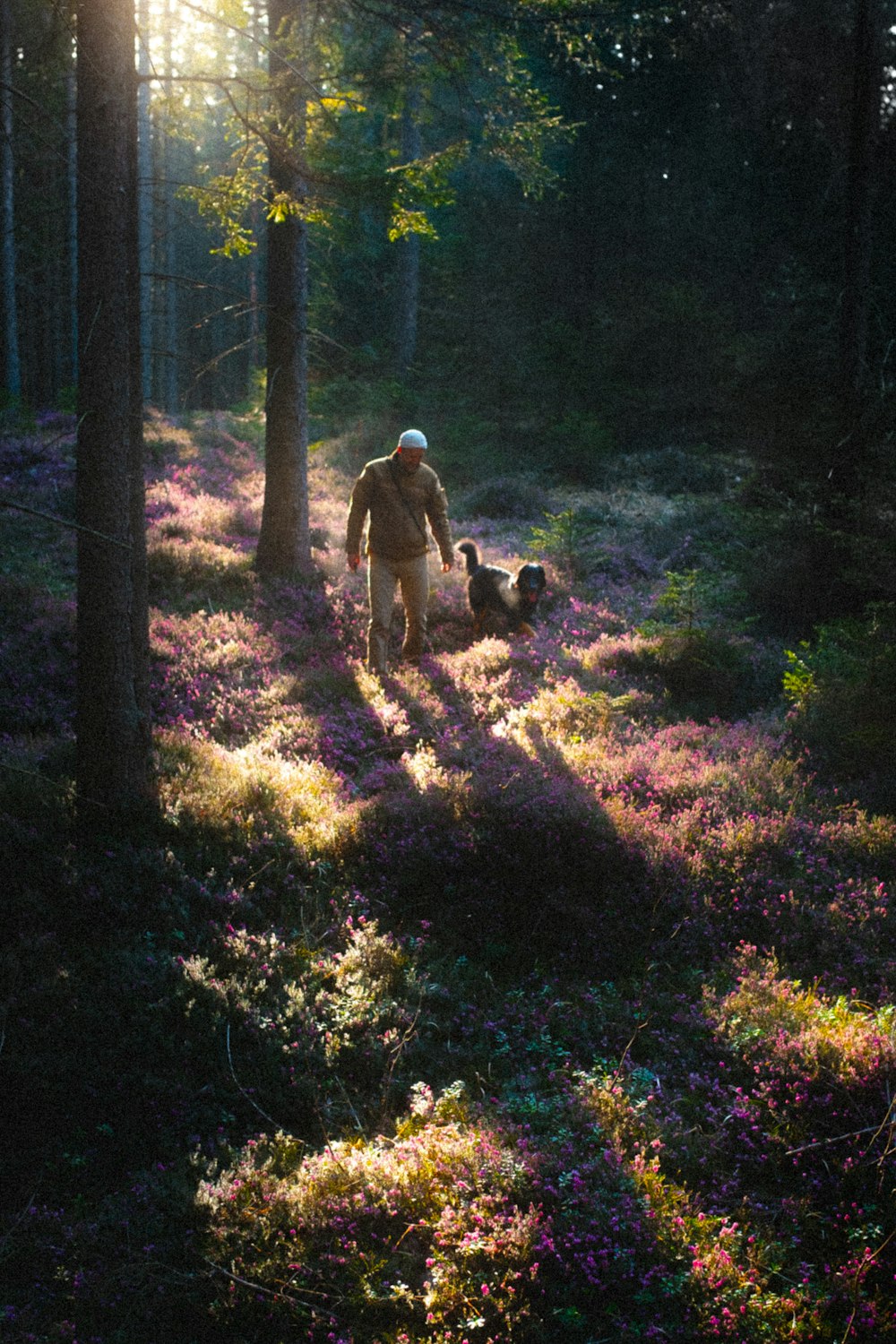 man in white shirt and black pants walking on forest with dogs during daytime