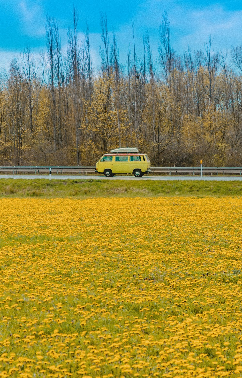 yellow van on yellow grass field