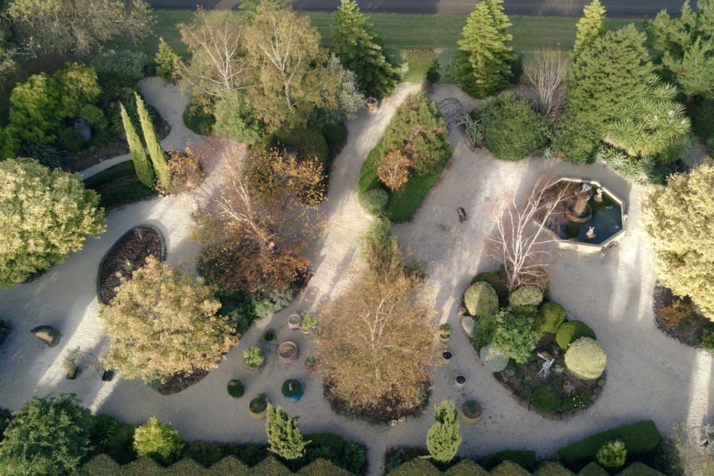 aerial view of green trees and plants