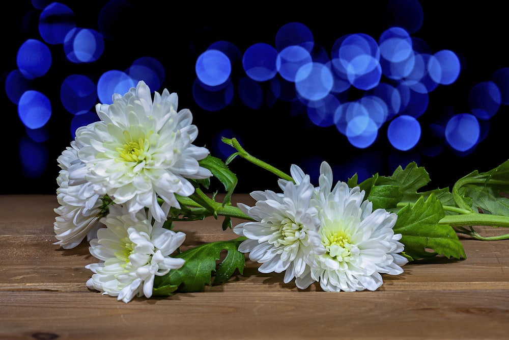 white and purple flowers on brown wooden table