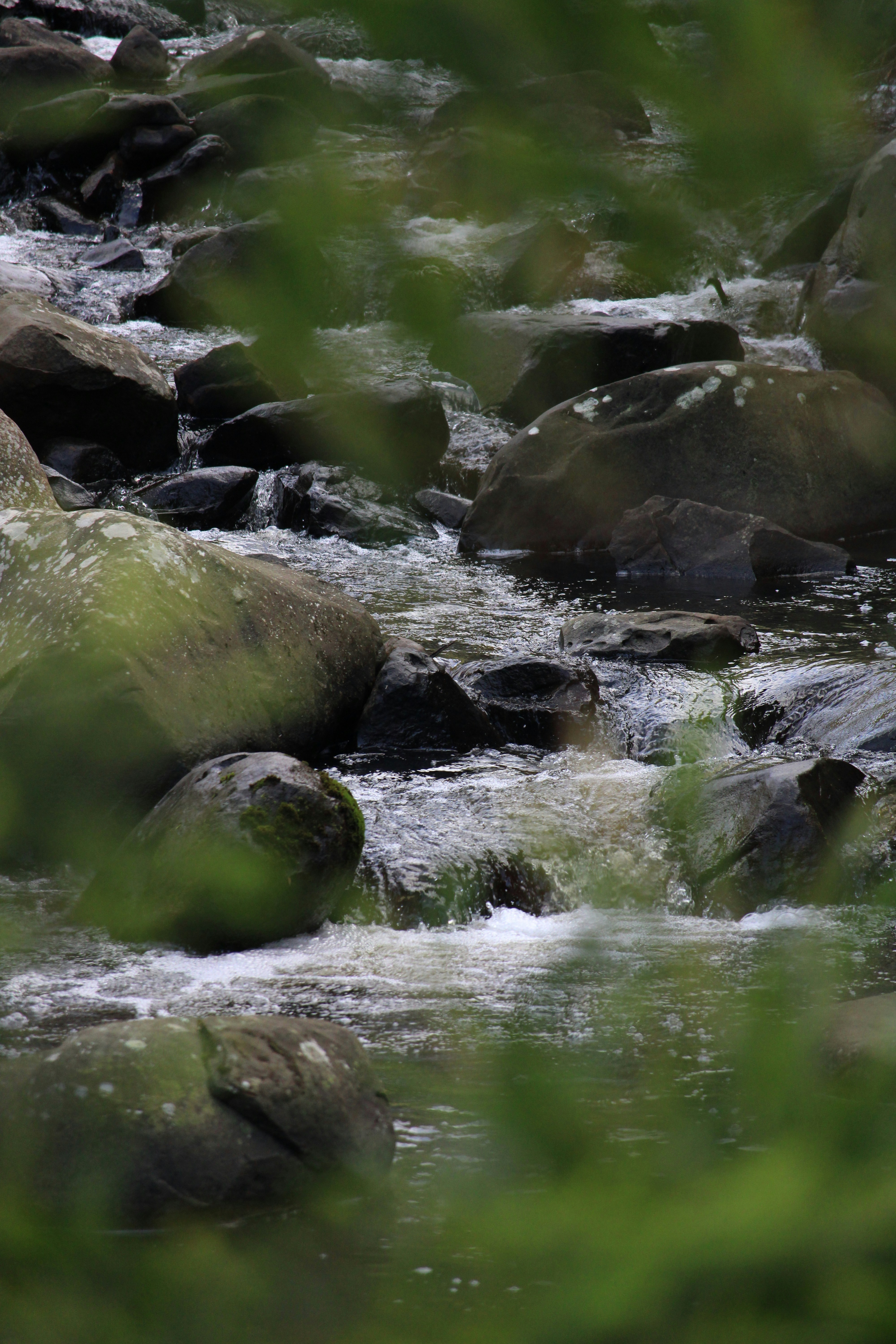 Photo by _sfletcher_