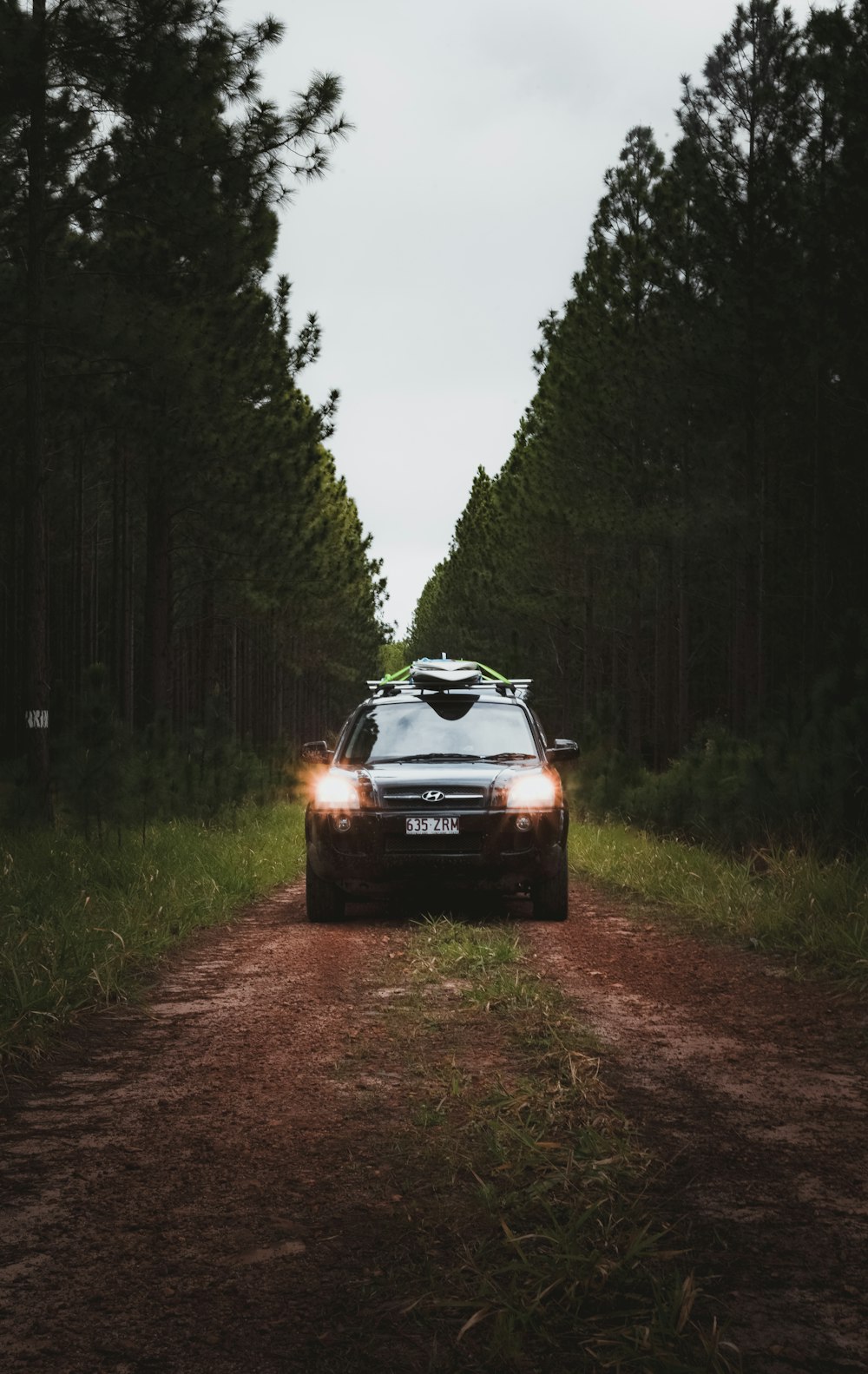 black car on dirt road in between green trees during daytime