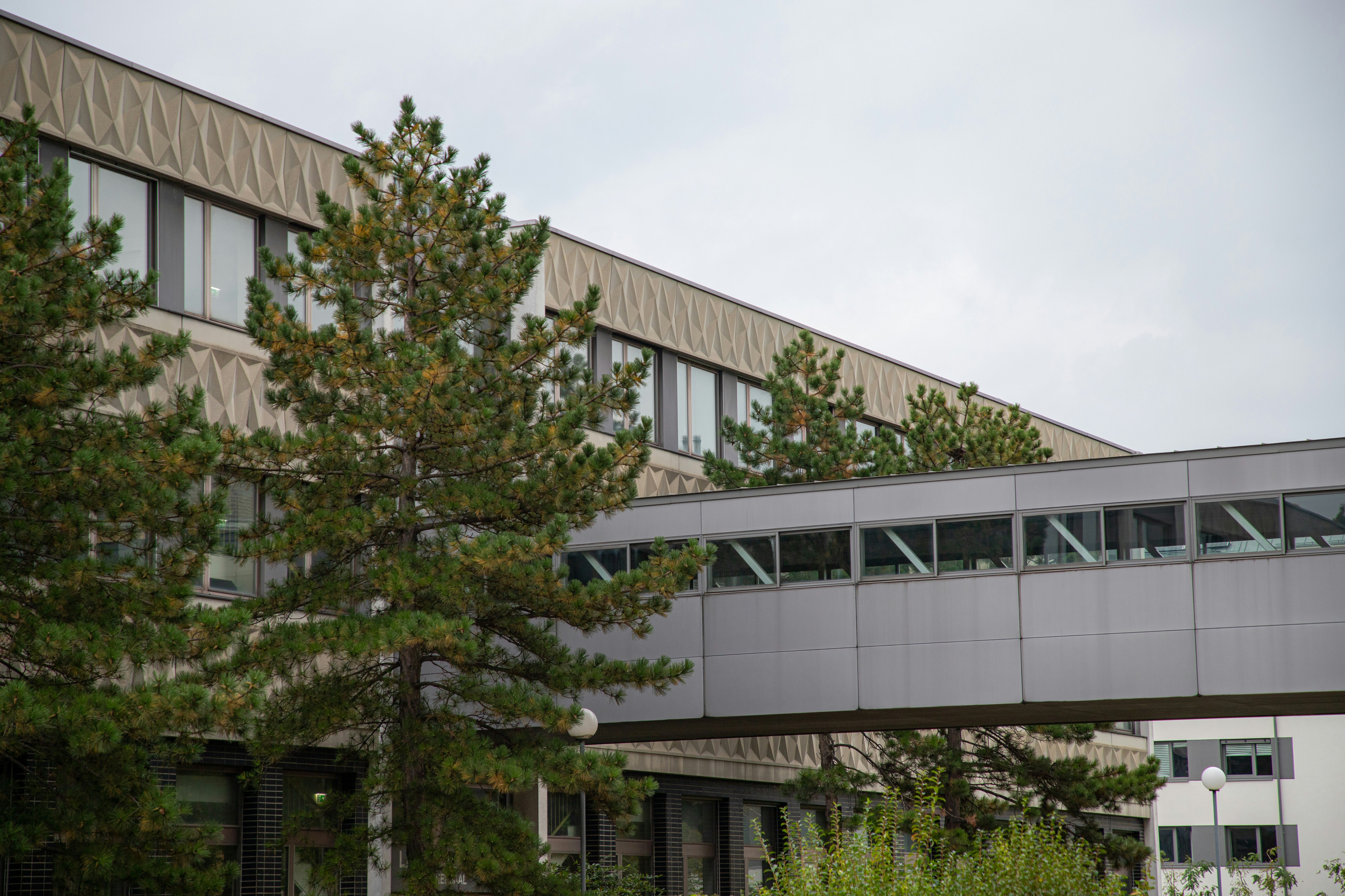 Photo by secessionstil