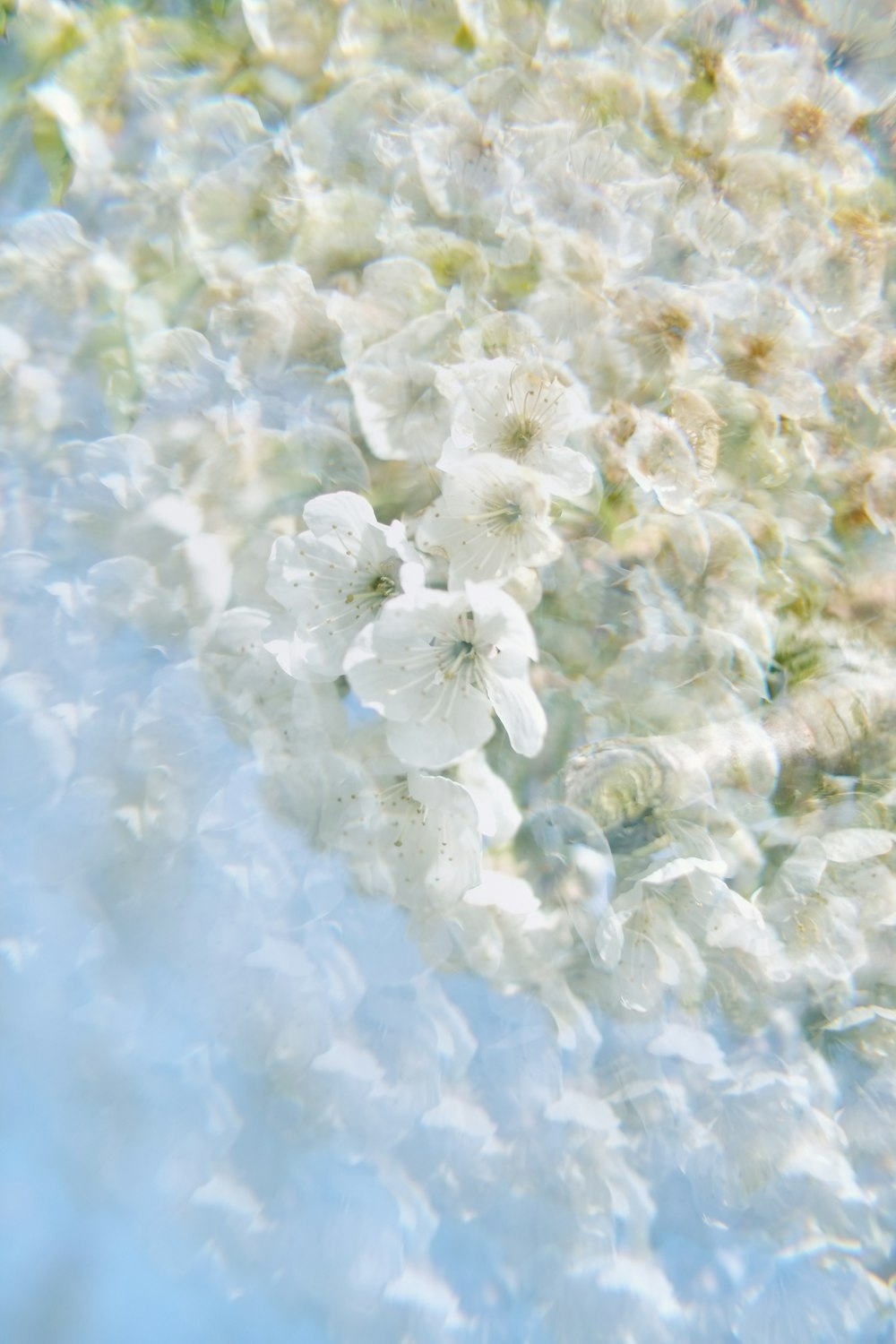 white and yellow floral textile