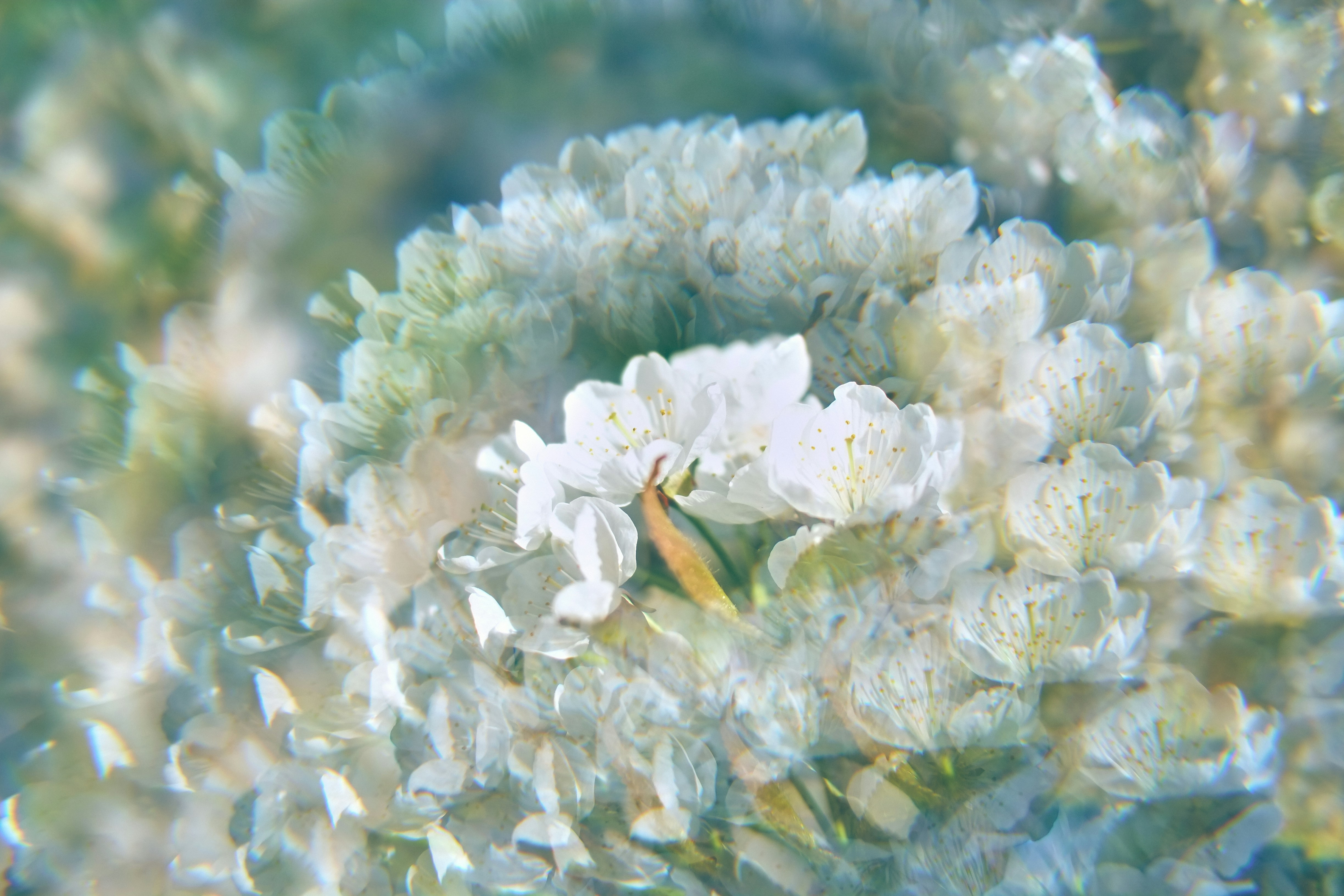 Photo by kevinmueller