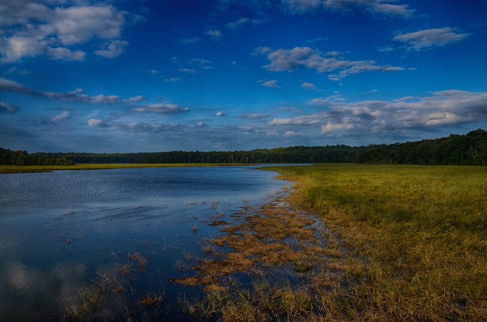 Campo de hierba verde cerca del lago bajo el cielo azul durante el día