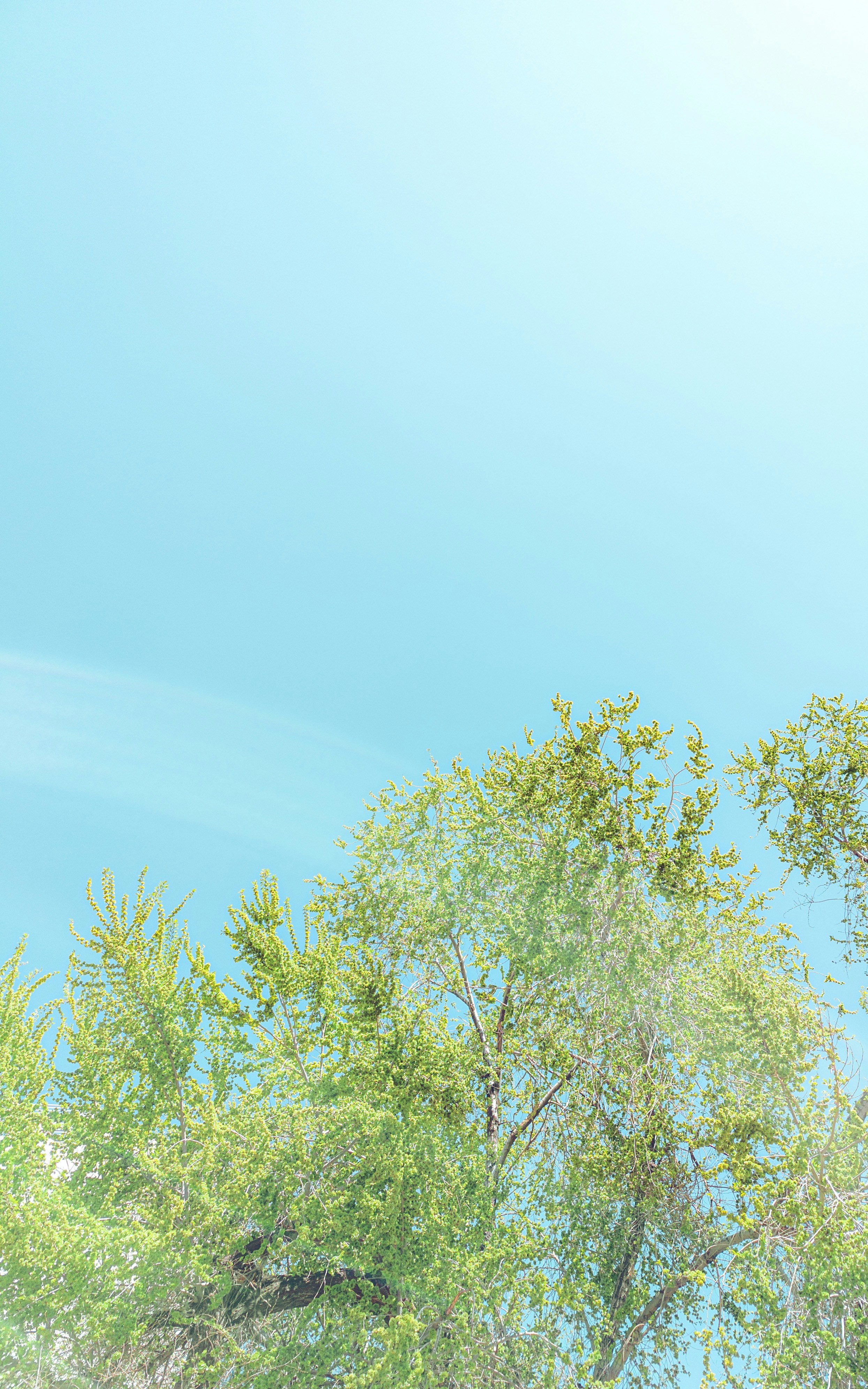 Photo by xiexianghua