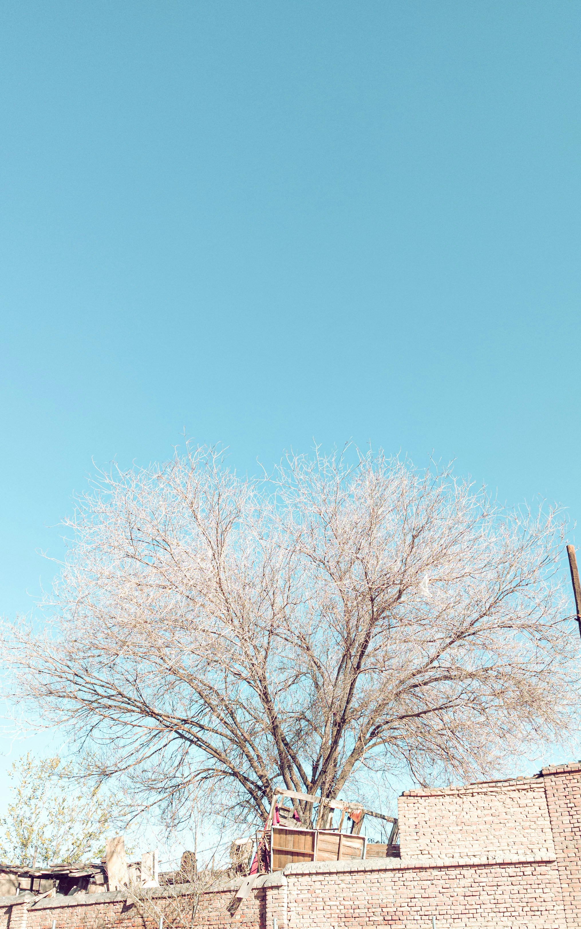 Photo by xiexianghua