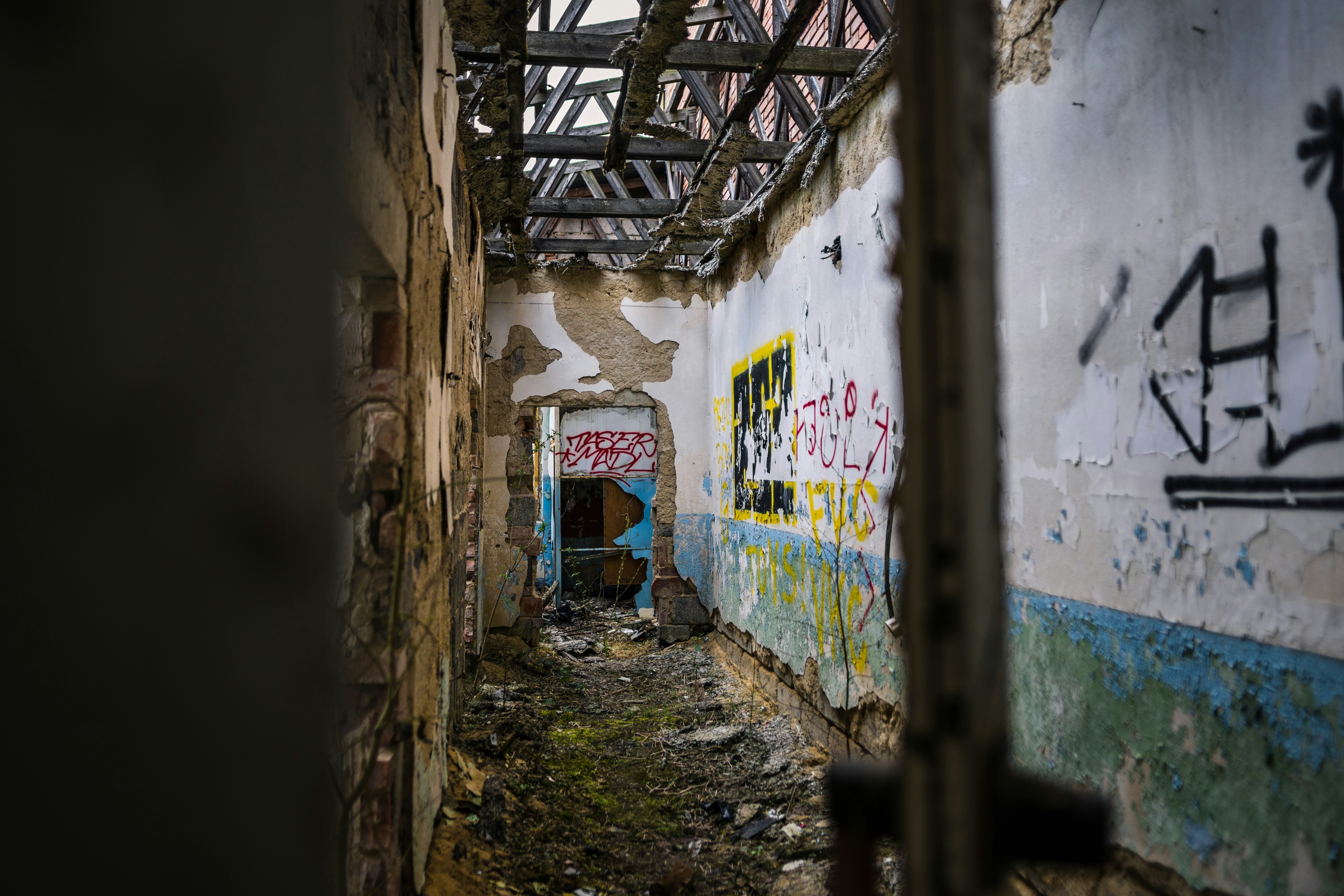 Photo by davidbenesph