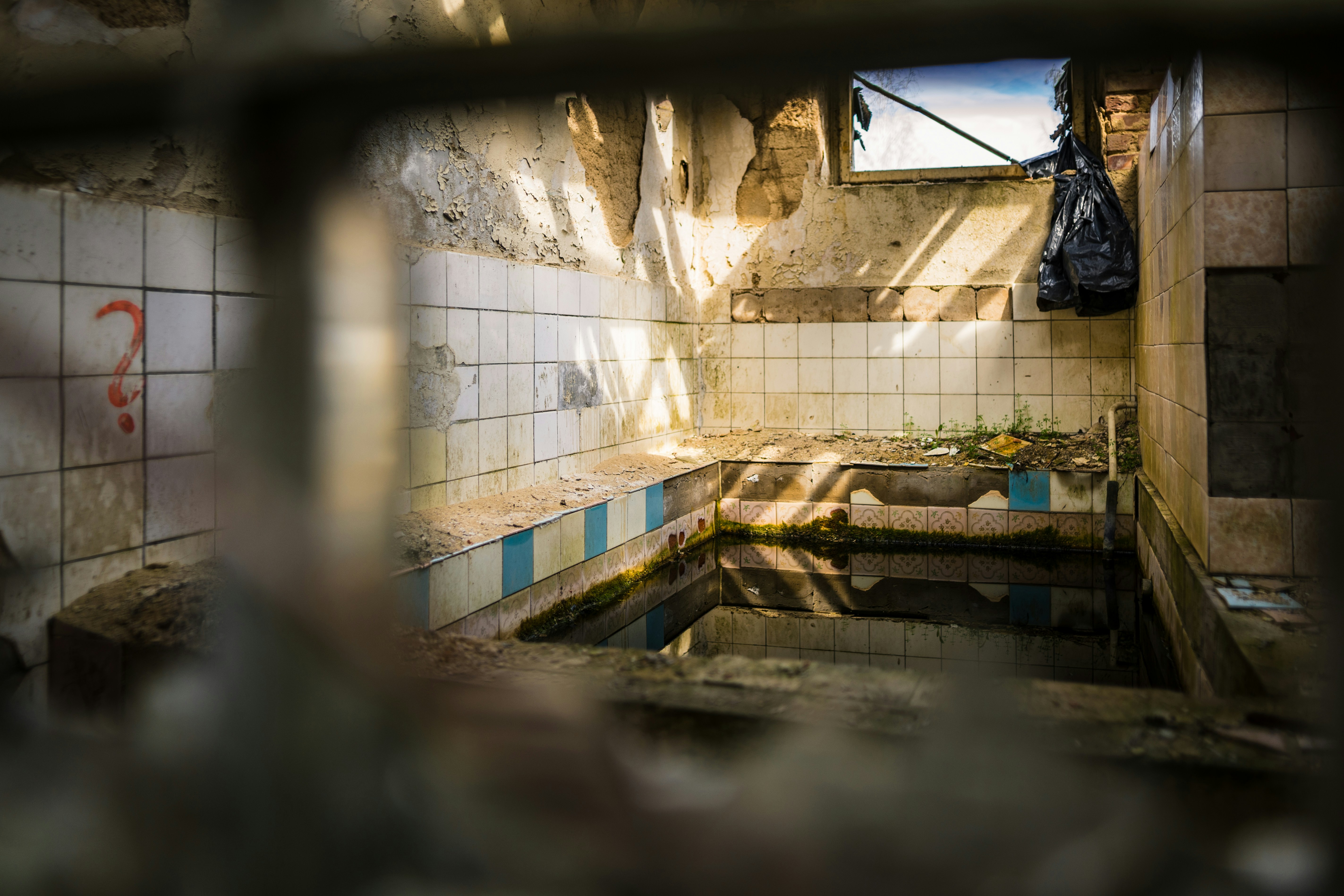 Photo by davidbenesph